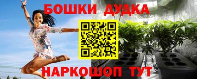 гашик Можга