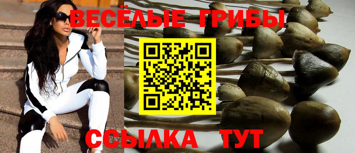Псилоцибиновые грибы GOLDEN TEACHER Среднеуральск