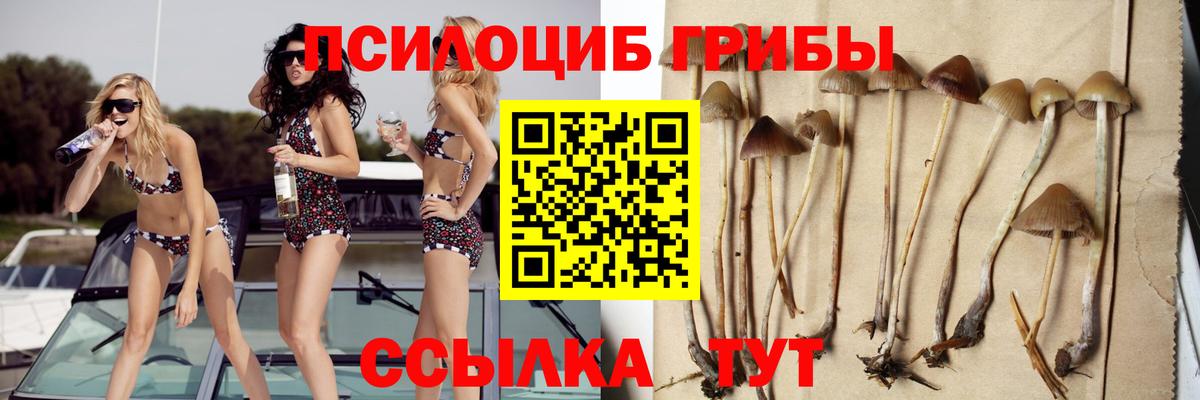 Псилоцибиновые грибы ЛСД  Псилоцибиновые грибы GOLDEN TEACHER  Среднеуральск  Вход с VPN 